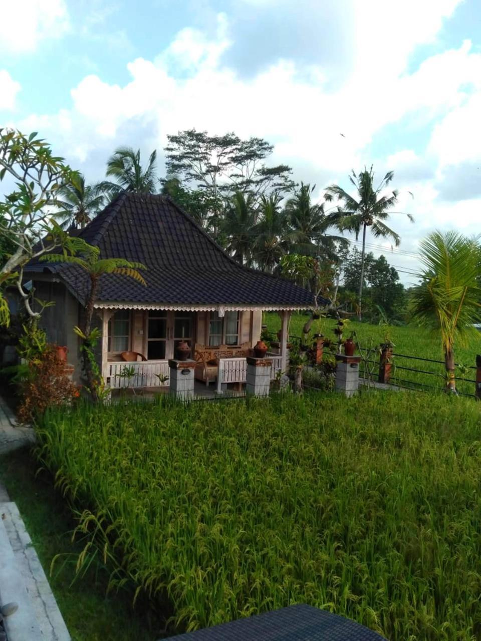 Uma Caming Villas&Gym Tegallalang  Esterno foto