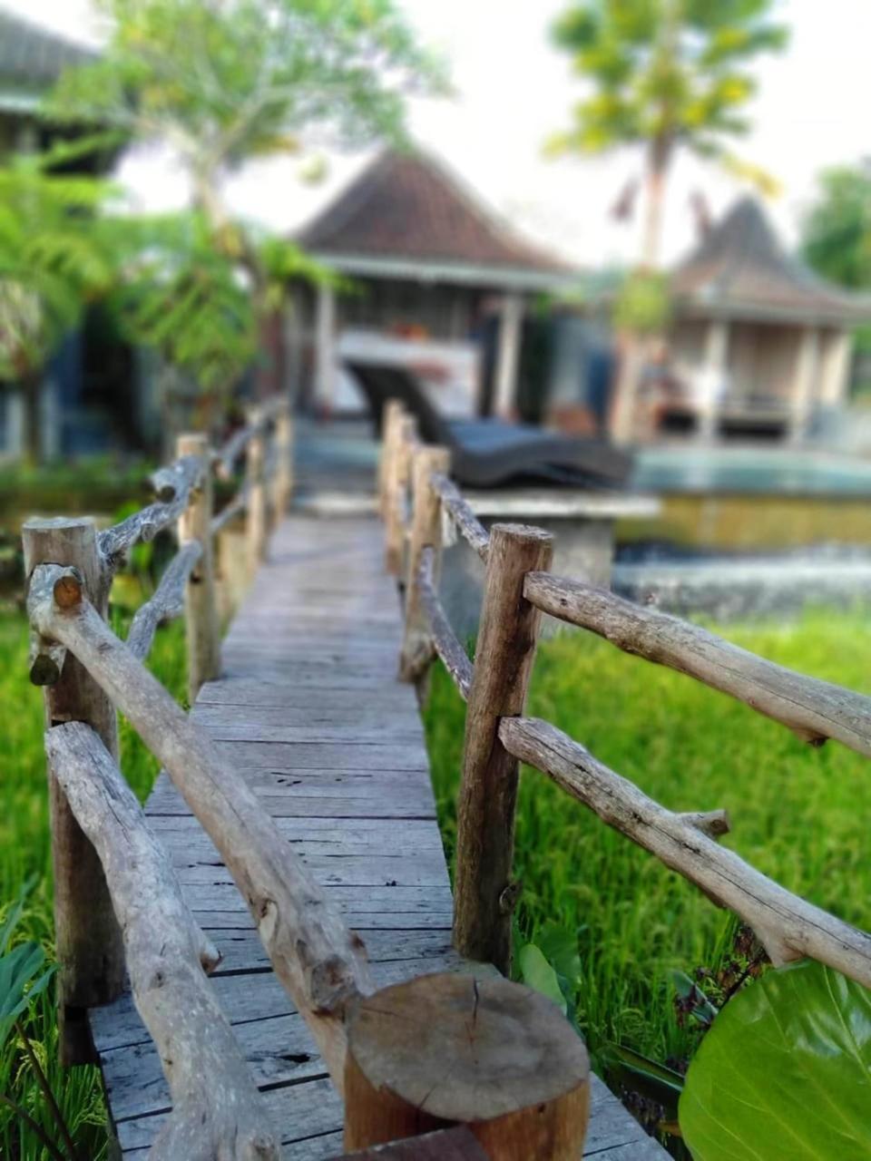 Uma Caming Villas&Gym Tegallalang  Esterno foto